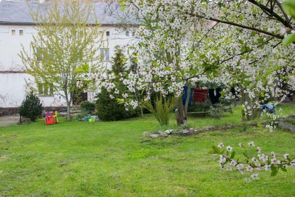 Gospodarstwo U Krakusa Doboszowice Buitenkant foto