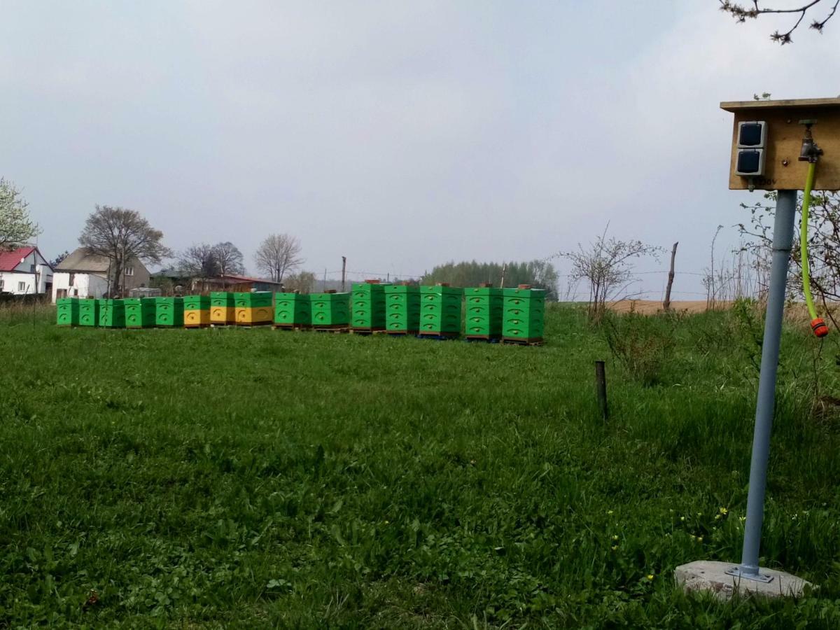 Gospodarstwo U Krakusa Doboszowice Buitenkant foto